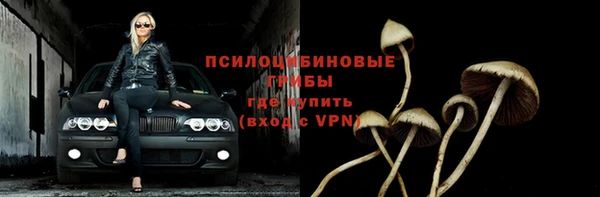 бошки Абинск