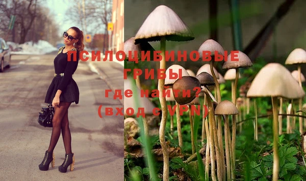 марки nbome Абаза
