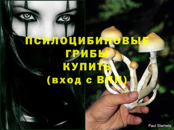бошки Абинск