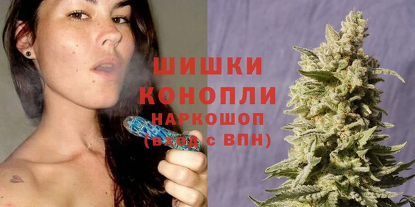 PSILOCYBIN Абдулино