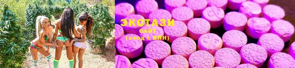 PSILOCYBIN Абдулино